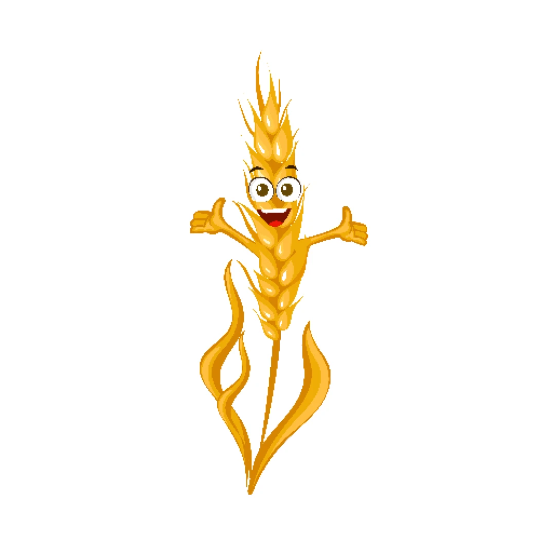 Buğday