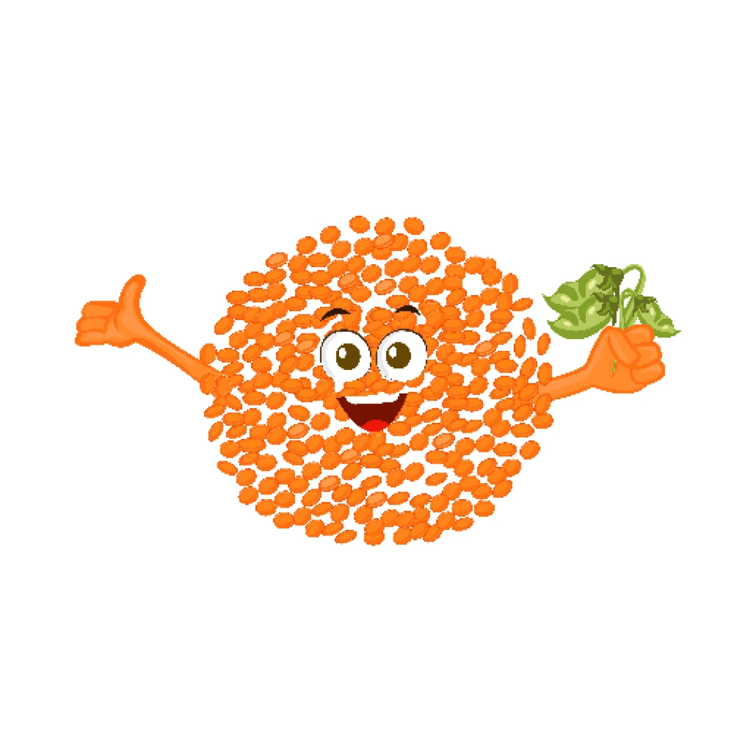 Lentil